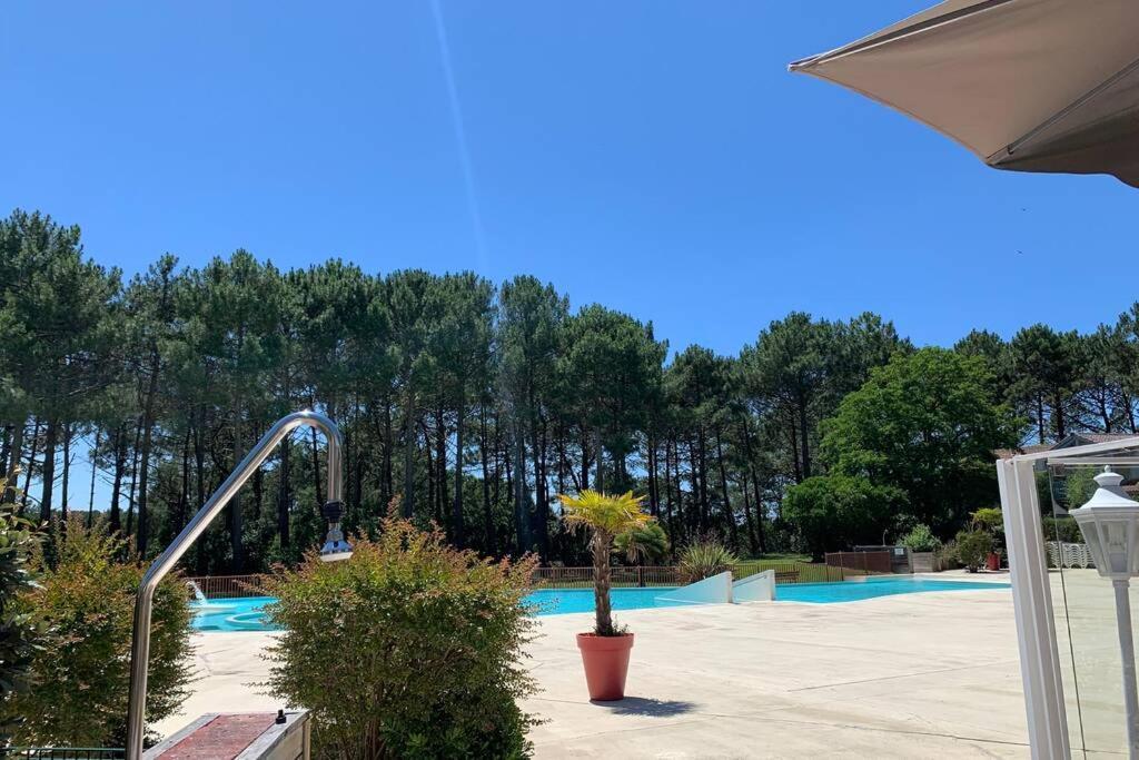 Appartement T2 1Chambre 4-5 Personnes - Lacanau - Piscine - Vue Sur Le Golf Zewnętrze zdjęcie